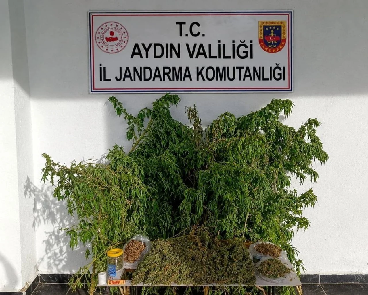 AYDIN'IN İNCİRLİOVA İLÇESİNDE BİR EVE YAPILAN UYUŞTURUCU BASKININDA 3 KİLO KUBAR ESRAR VE 47 KÖK...