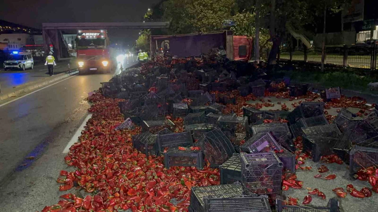 SAMSUN'UN TEKKEKÖY İLÇESİNDE DEVRİLEN KAMYONDAKİ YAKLAŞIK 10 TON KAPYA BİBER YOLA SAÇILIRKEN...