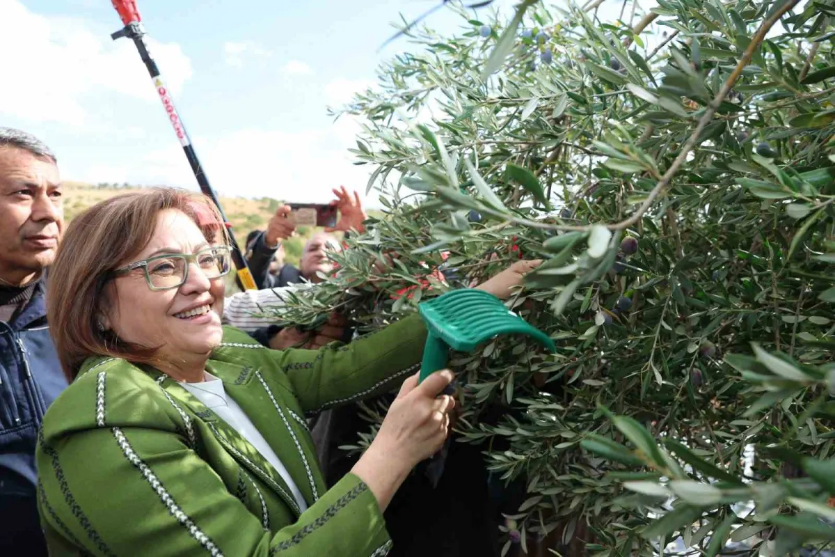 Nizip'te asırlık kutlama: Zeytin festivalinde dev projeler açıklandı 5