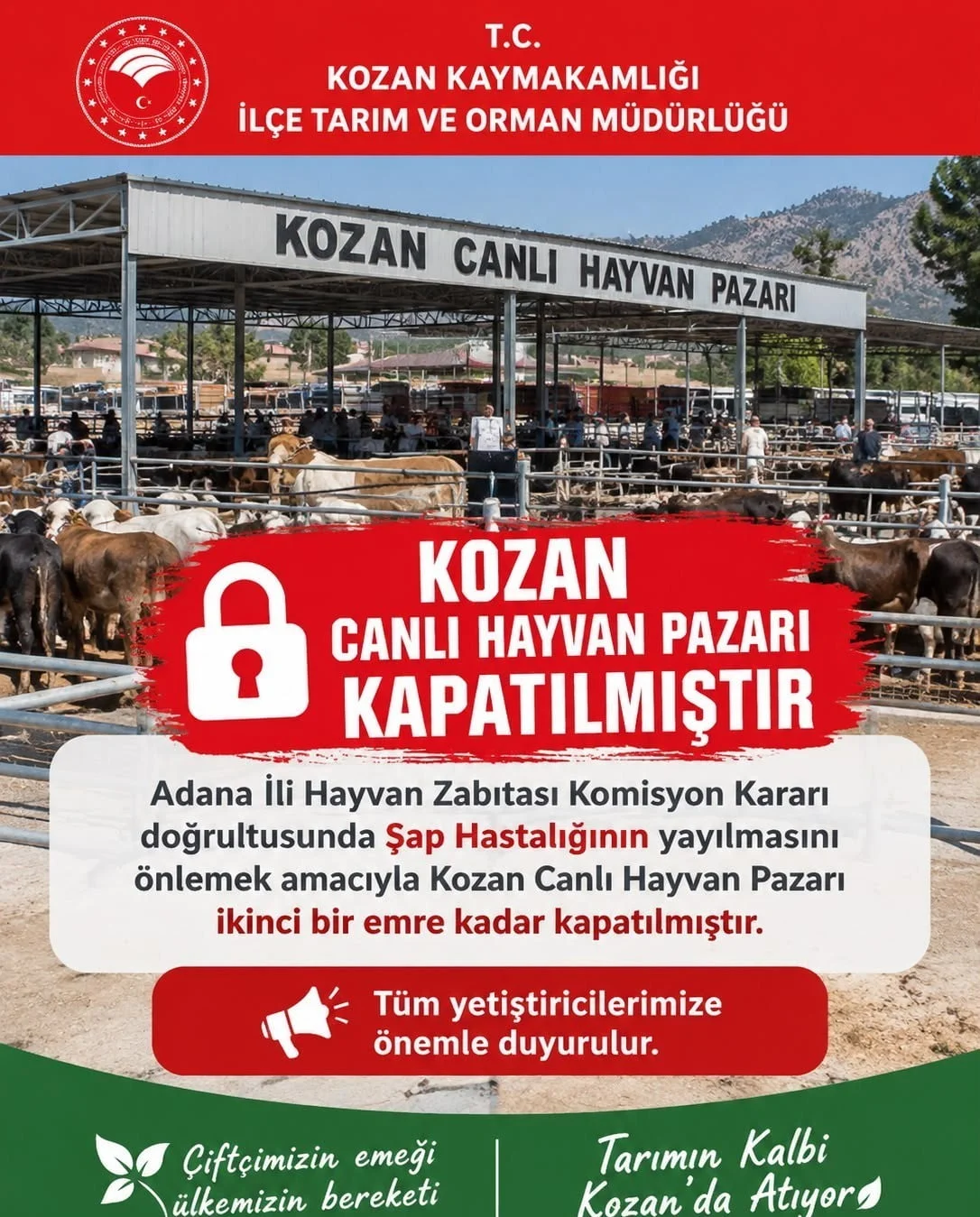 ADANA’NIN KOZAN İLÇESİNDE BULUNAN CANLI HAYVAN PAZARI, ŞAP HASTALIĞININ YAYILMASINI ÖNLEMEK VE...