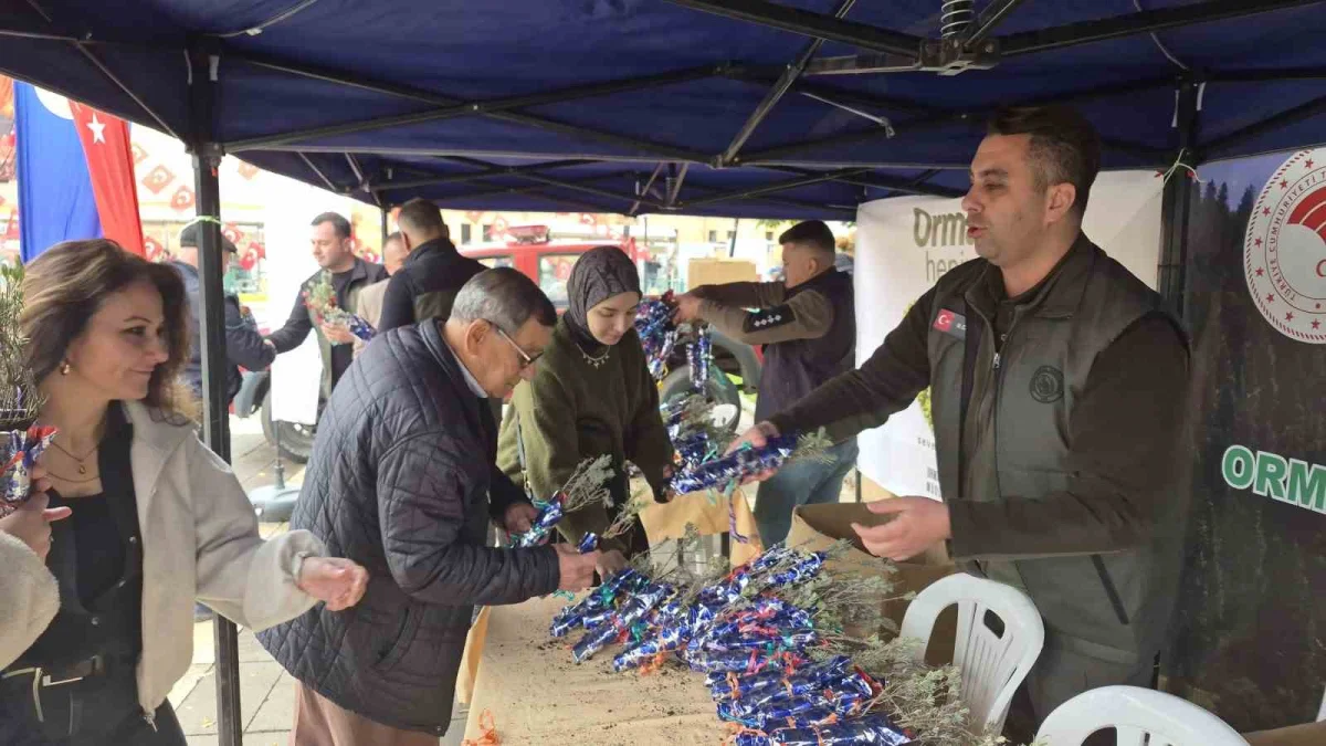 Eskişehir'de Cumhuriyet'in 103'üncü yılına özel bin 103 lavanta fidanı dağıtıldı 1