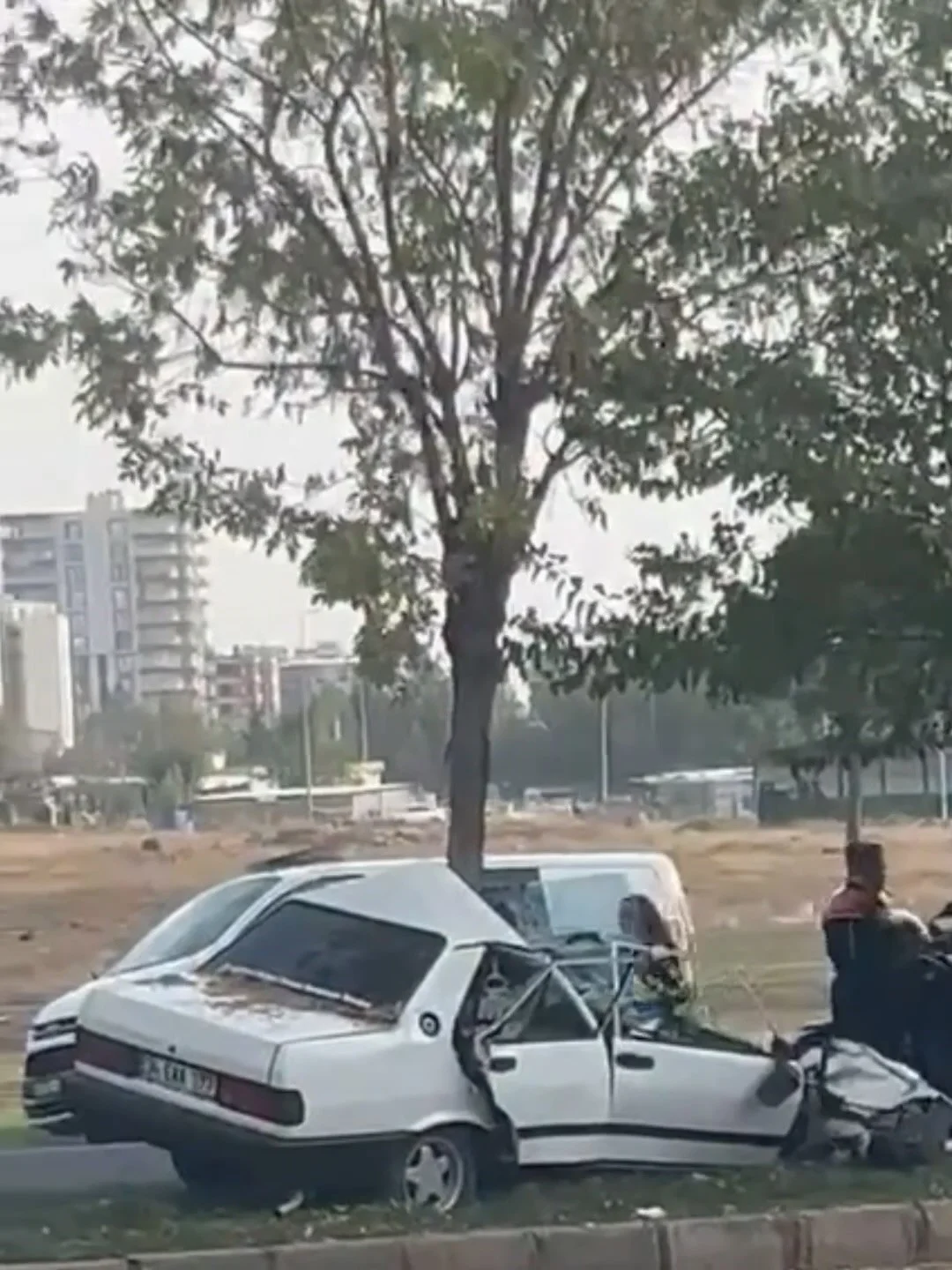 Siverek'te ağaca çarpan otomobil ikiye bölündü: 3 yaralı 1