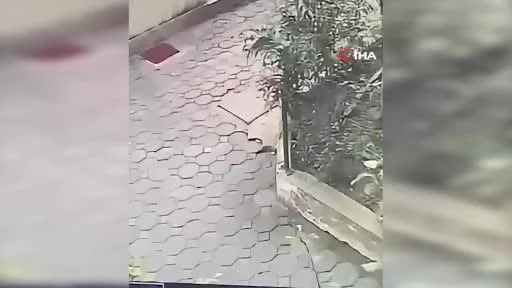Kocaeli'de eski eşini öldüren zanlı yakalandı