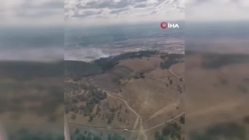 Eskişehir'de çıkan orman yangını kontrol altına alındı