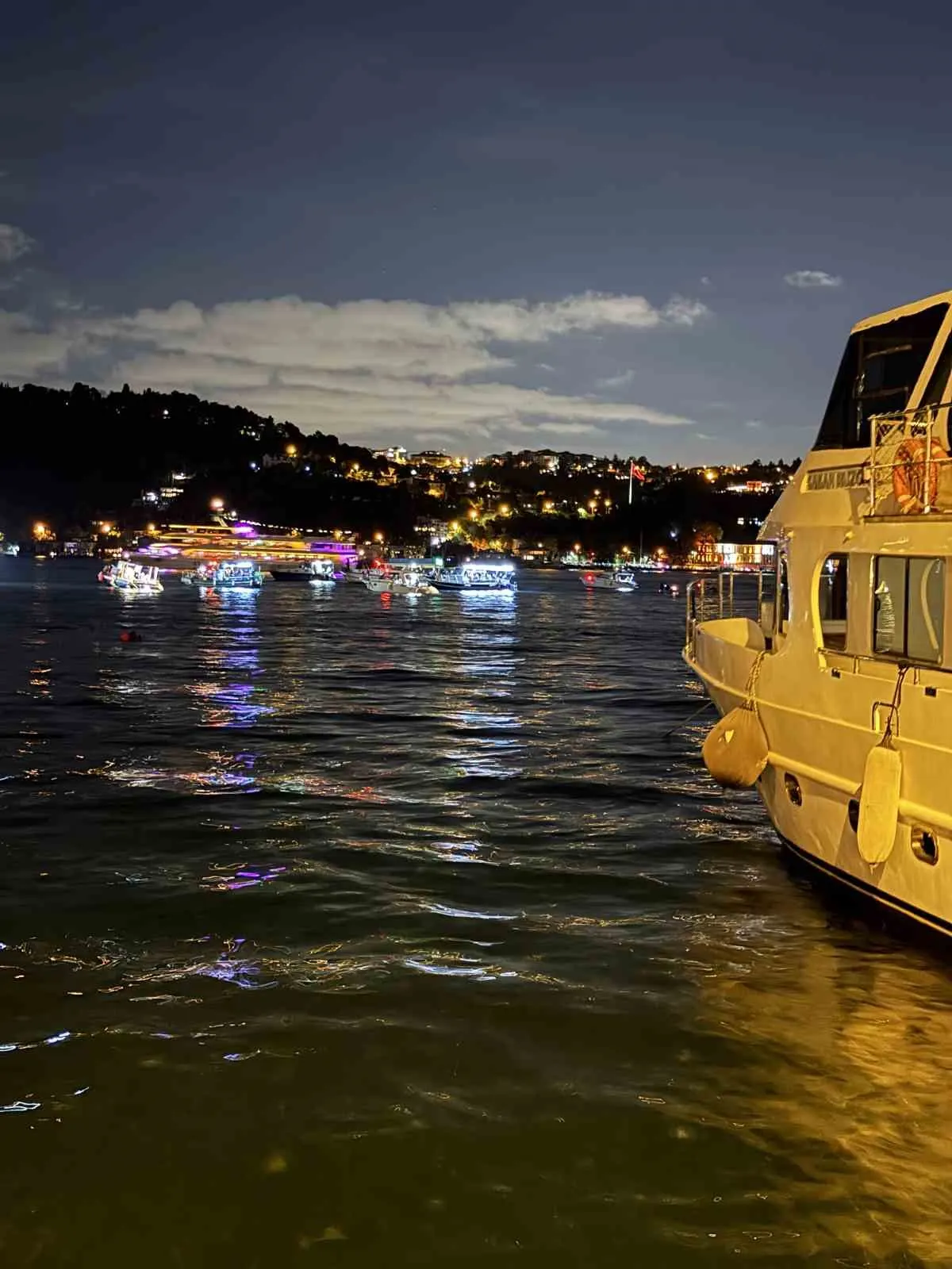İstanbul Boğazı'nda lüfer bereketi başladı: Tezgahlarda tanesi 400 liraya çıktı 2