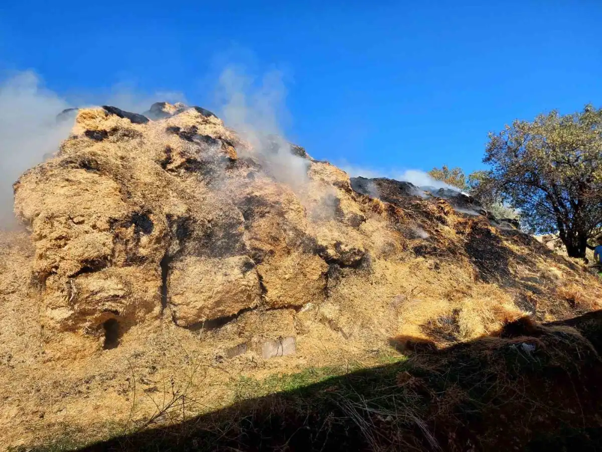 Isparta'da korkutan yangın: Bin 150 balya kül oldu 2