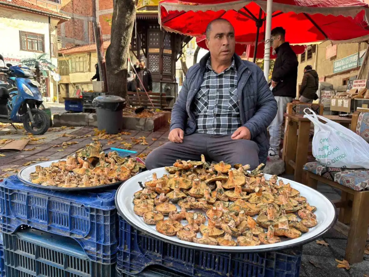 Tavşanlı'da sonbahar yağmurlarıyla melki mantarı mesaisi başladı 1
