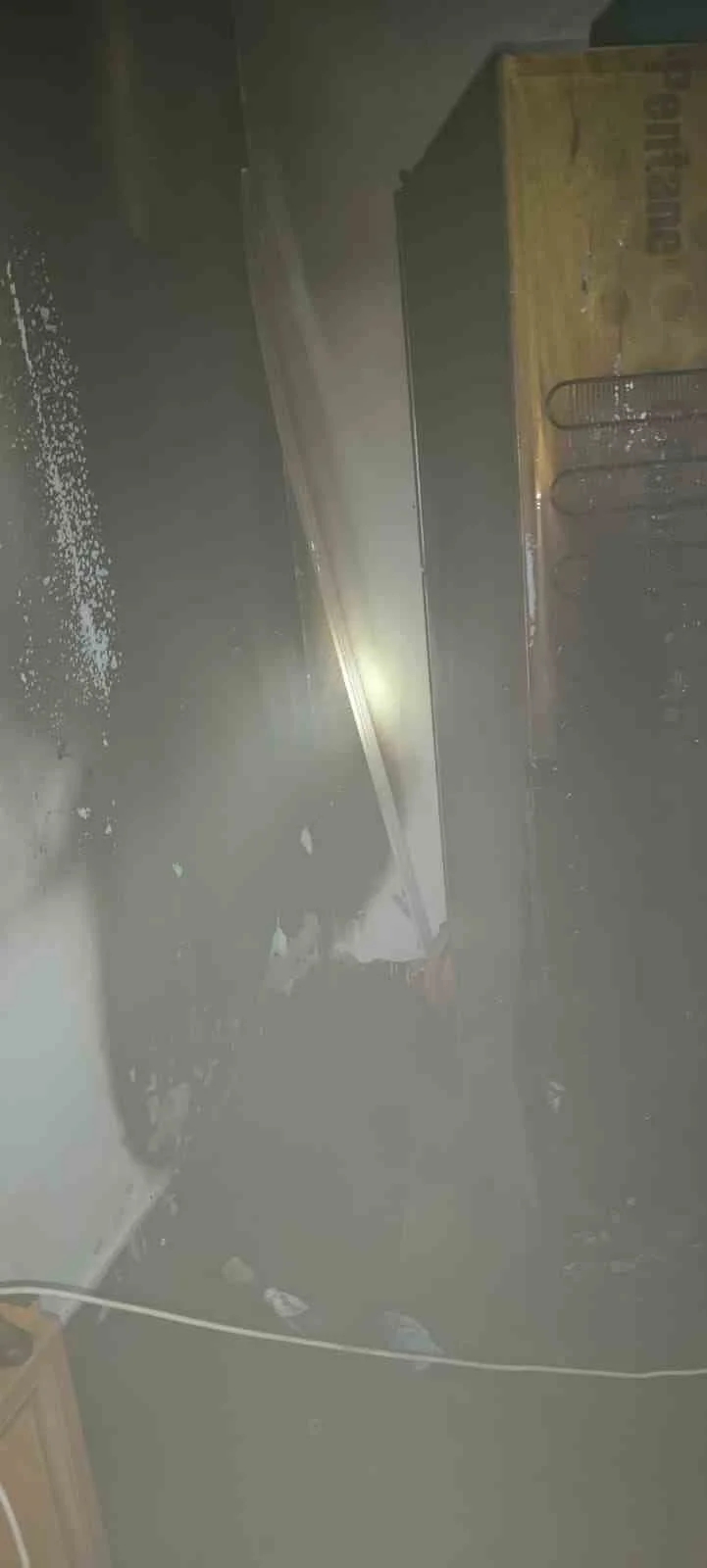 Siirt'te korkudan hareket edemeyen kadın itfaiye ekiplerince kurtarıldı 2