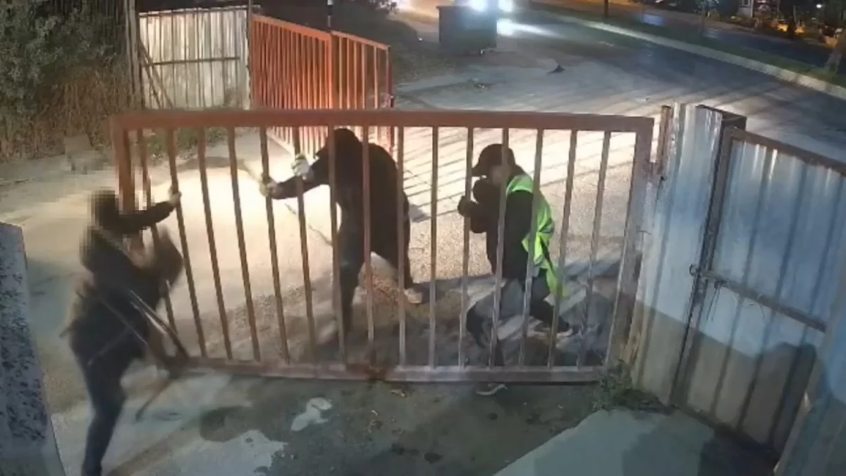 İstanbul'da 2 milyon liralık kablo hırsızlığı: 13 şüpheli yakalandı 4