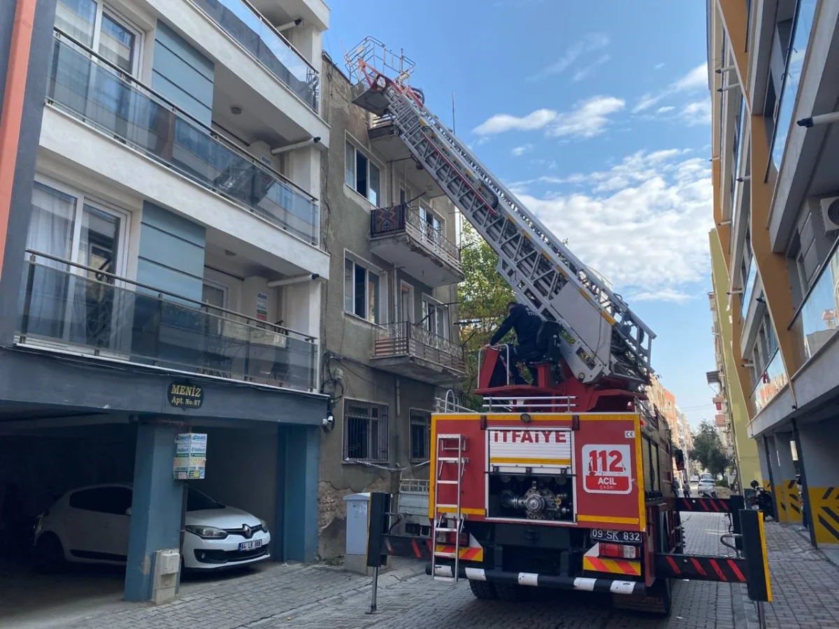 Aydın'da çatıya kaçan kedi itfaiye ekiplerince kurtarıldı 3