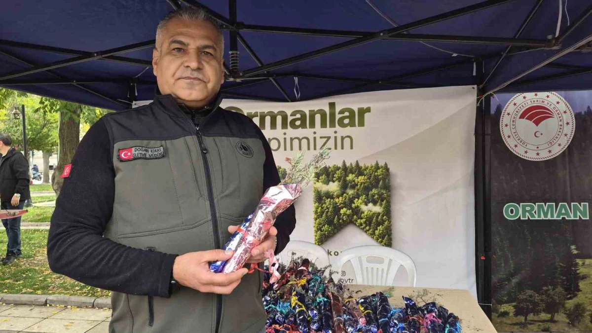 Eskişehir'de Cumhuriyet'in 103'üncü yılına özel bin 103 lavanta fidanı dağıtıldı 2