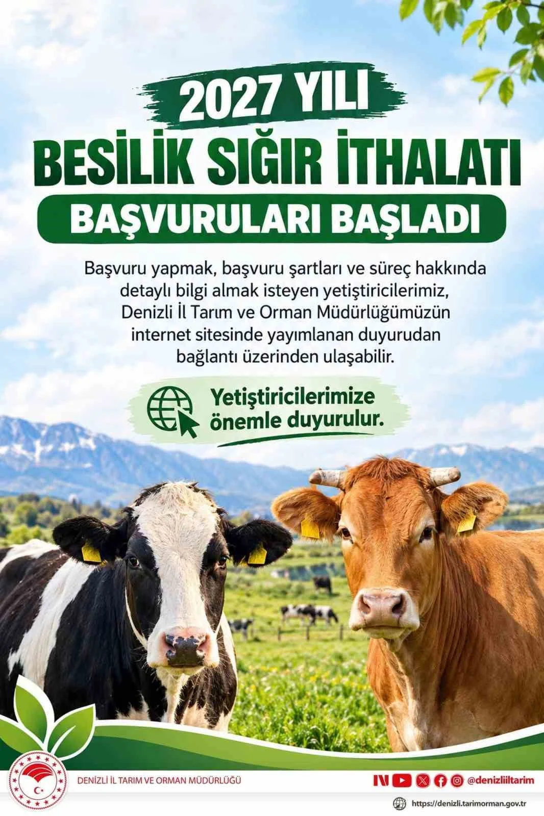 2027 YILI BESİLİK SIĞIR İTHALATI BAŞVURULARI BAŞLADI: SON TARİH 16 EKİM