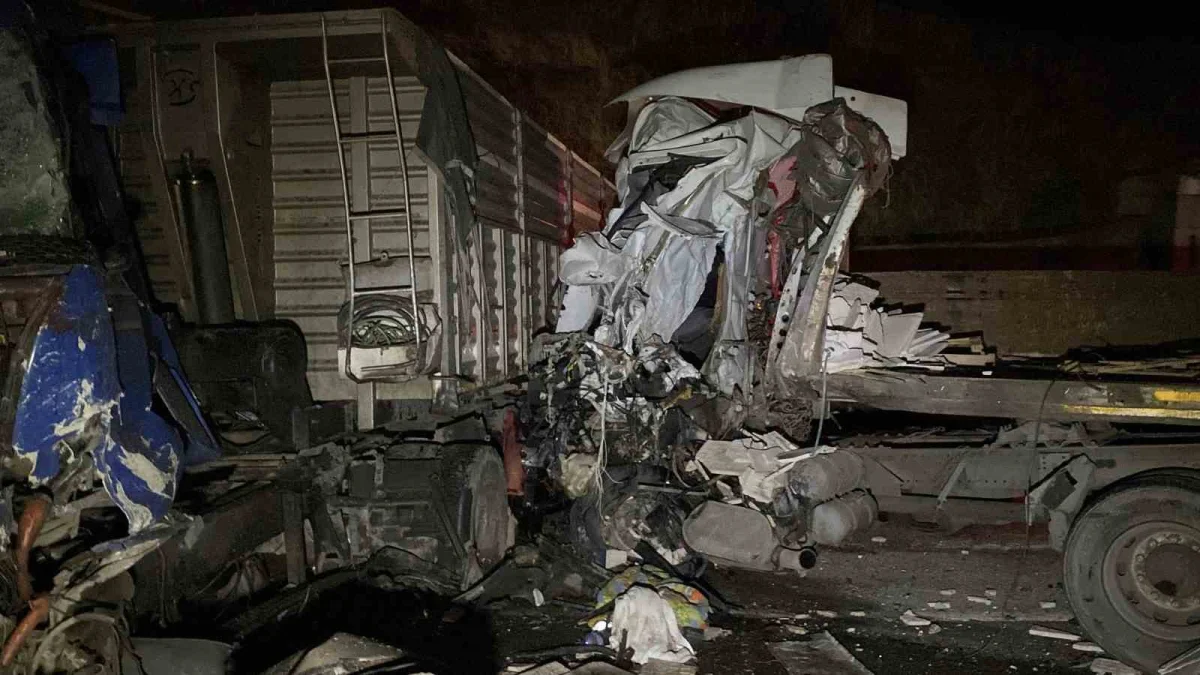 Elazığ'da 3 tırın karıştığı zincirleme kaza: 1 ölü 1