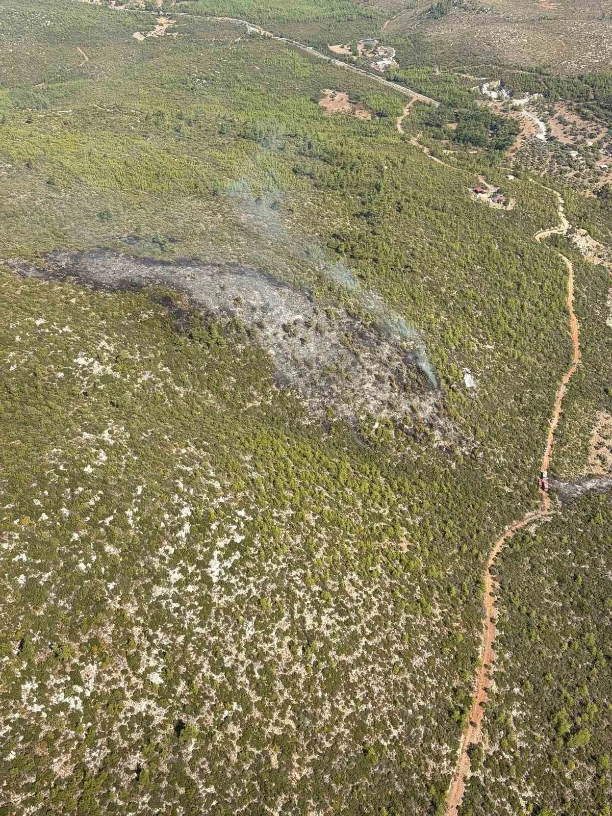 BODRUM’DAKİ ORMAN YANGINI KONTROL ALTINA ALINDI