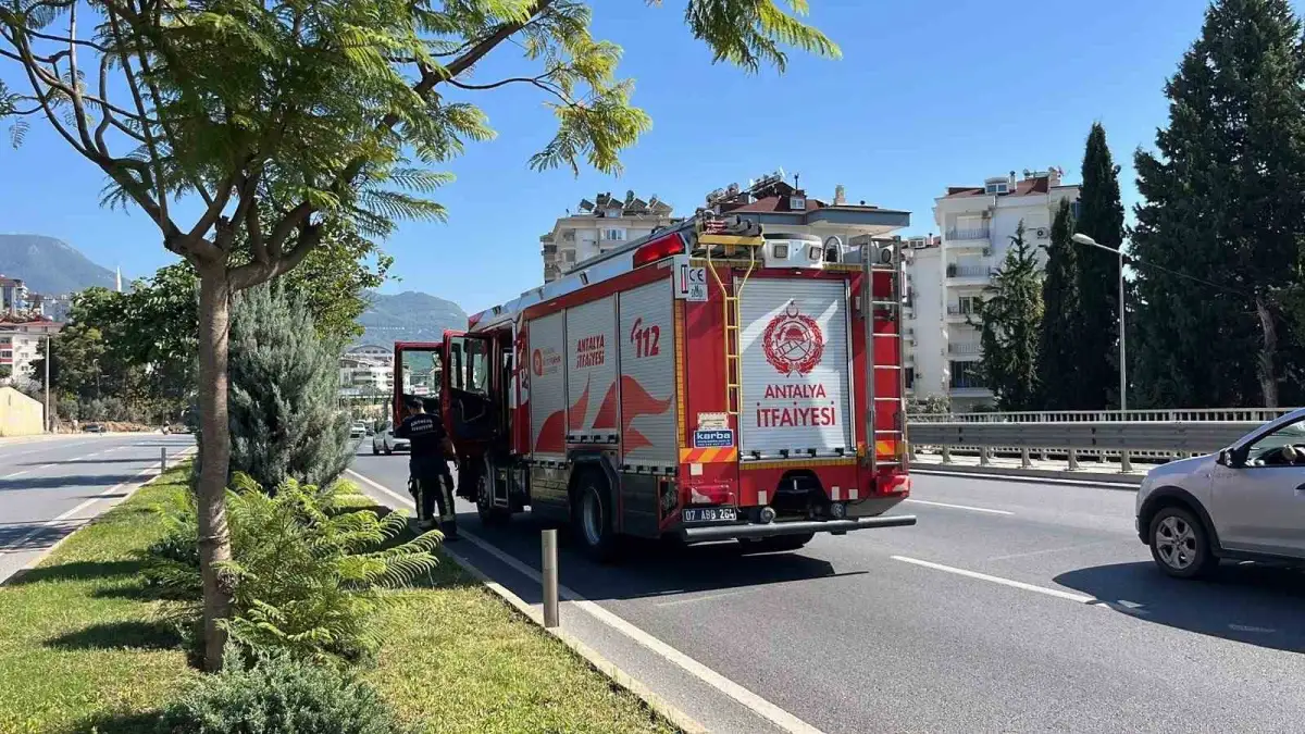 Alanya'da aydınlatma direğine çarpan otomobilin sürücüsü kaçtı: 1 yaralı 3