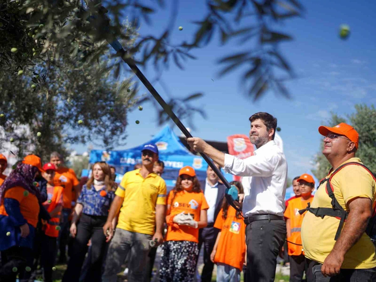 Tarsus'ta zeytin dalları lösemili çocuklara umut olmak için toplandı 1