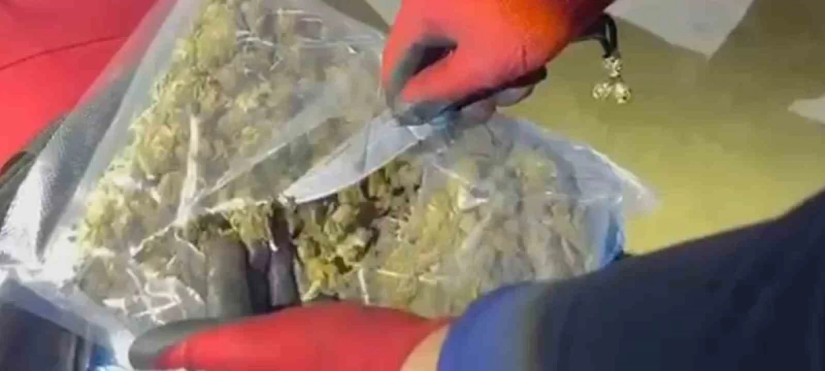 Şanlıurfa'da yolcu otobüsünde 16 kilo 400 gram skunk ele geçirildi 5
