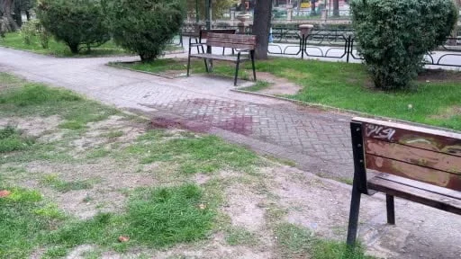 Alkol aldıkları sırada çıkan tartışmada arkadaşını bıçakla ağır yaraladı