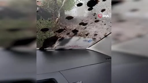 Şili’de şiddetli yağışlar sonucu aracıyla sele kapılan sürücü o anlar anbean kayıt altına...