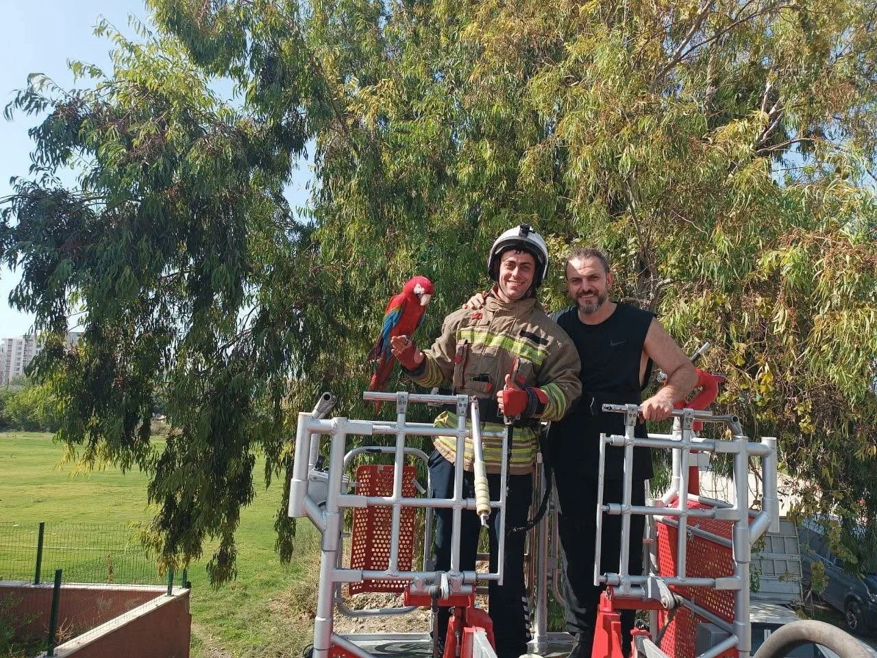 EKİPLER, TİTİZ BİR ÇALIŞMA SONUCUNDA PAPAĞANI SAHİBİYLE (SAĞDA) BİRLİKTE AĞAÇTAN...