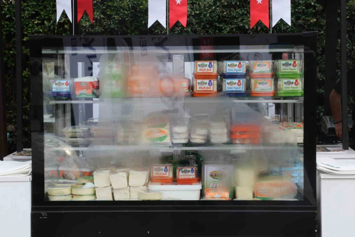 Antalya'da 3 bin şefin katıldığı 7. Uluslararası Gastronomi ve Mutfak Yıldızları Festivali başladı 4