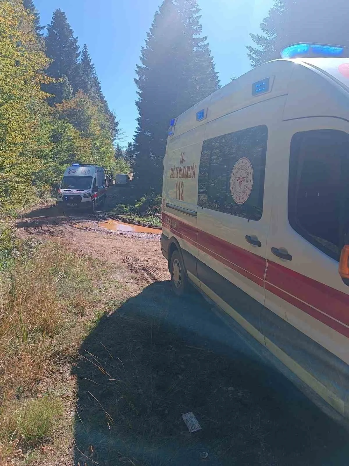 SAKARYA'NIN PAMUKOVA İLÇESİNDE MANTAR TOPLAMAK İÇİN YAYLAYA GİDEN AİLENİN BULUNDUĞU TRAKTÖRÜN...