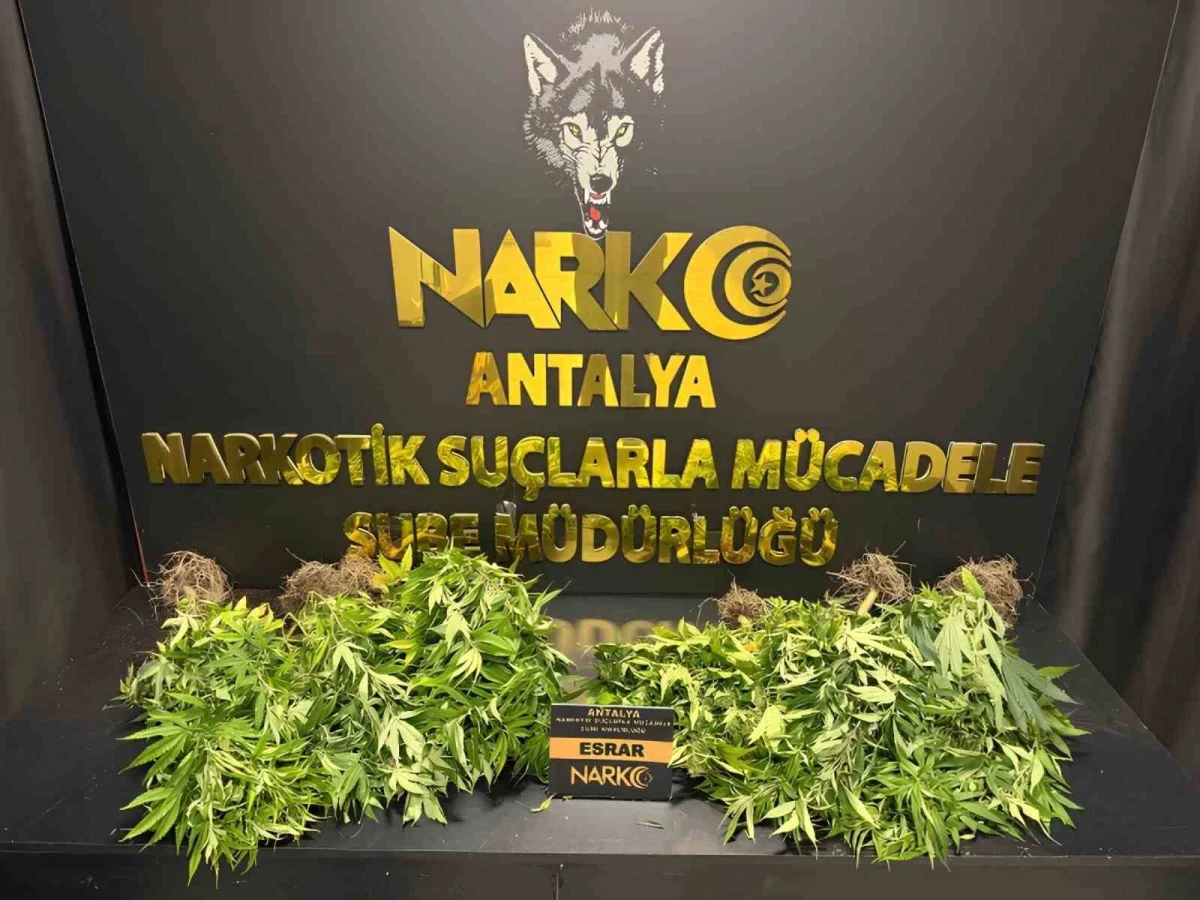 Antalya'da uyuşturucu tacirlerine operasyon: 32 baskında binlerce sentetik ecza yakalandı 1