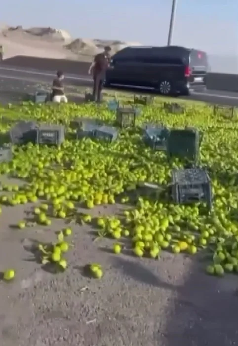 Gaziantep'te viyadük üzerinde mandalina yüklü kamyon devrildi 3