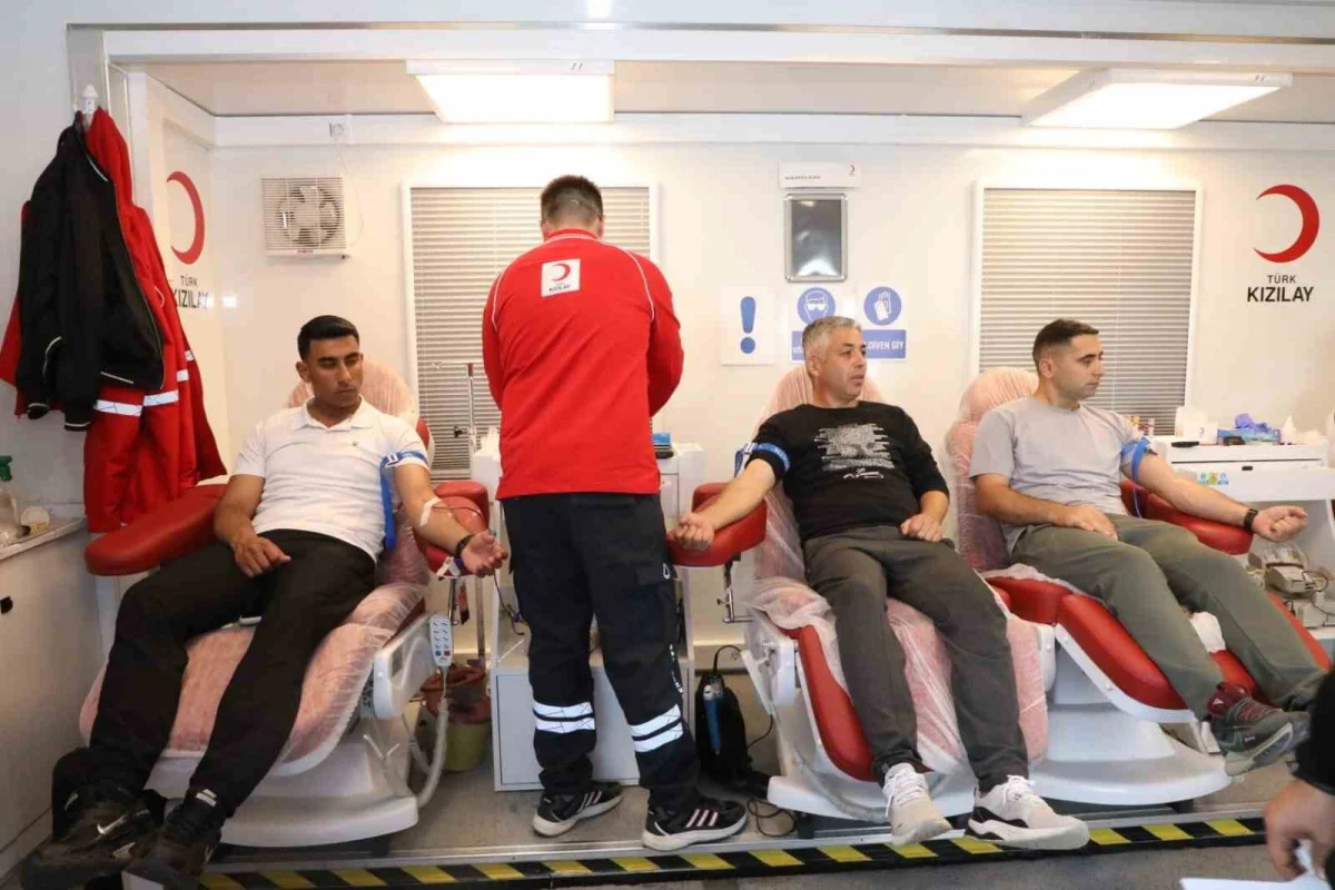 Tunceli'de kan bağışı yapanlara mavi selvi fidanı hediye edildi 1