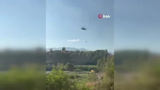 Kaş'daki yangında koyunlar ve kaplumbağa böyle kurtarıldı
