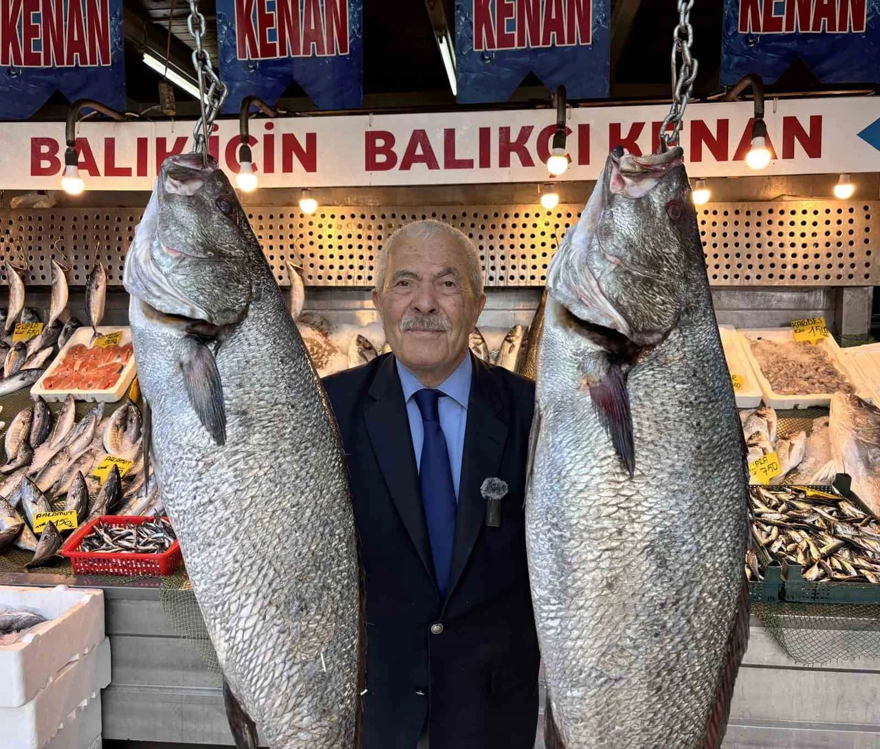 TÜRKİYE DENİZ CANLILARI MÜZESİ KURUCUSU BALIKÇI KENAN BALCI, PALAMUT, HAMSİ, İSTAVRİT VE...
